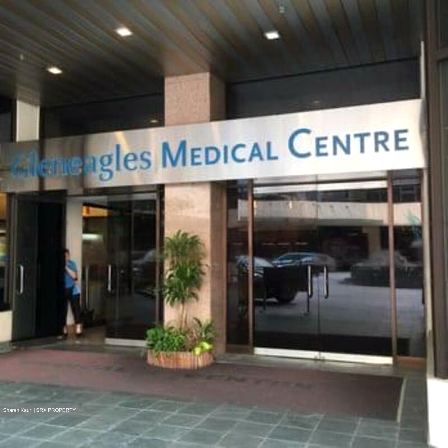 Gleneagles Hospital (D10), Retail #474681541